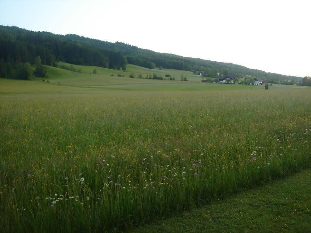 Pension Anna Mondsee Exterior photo